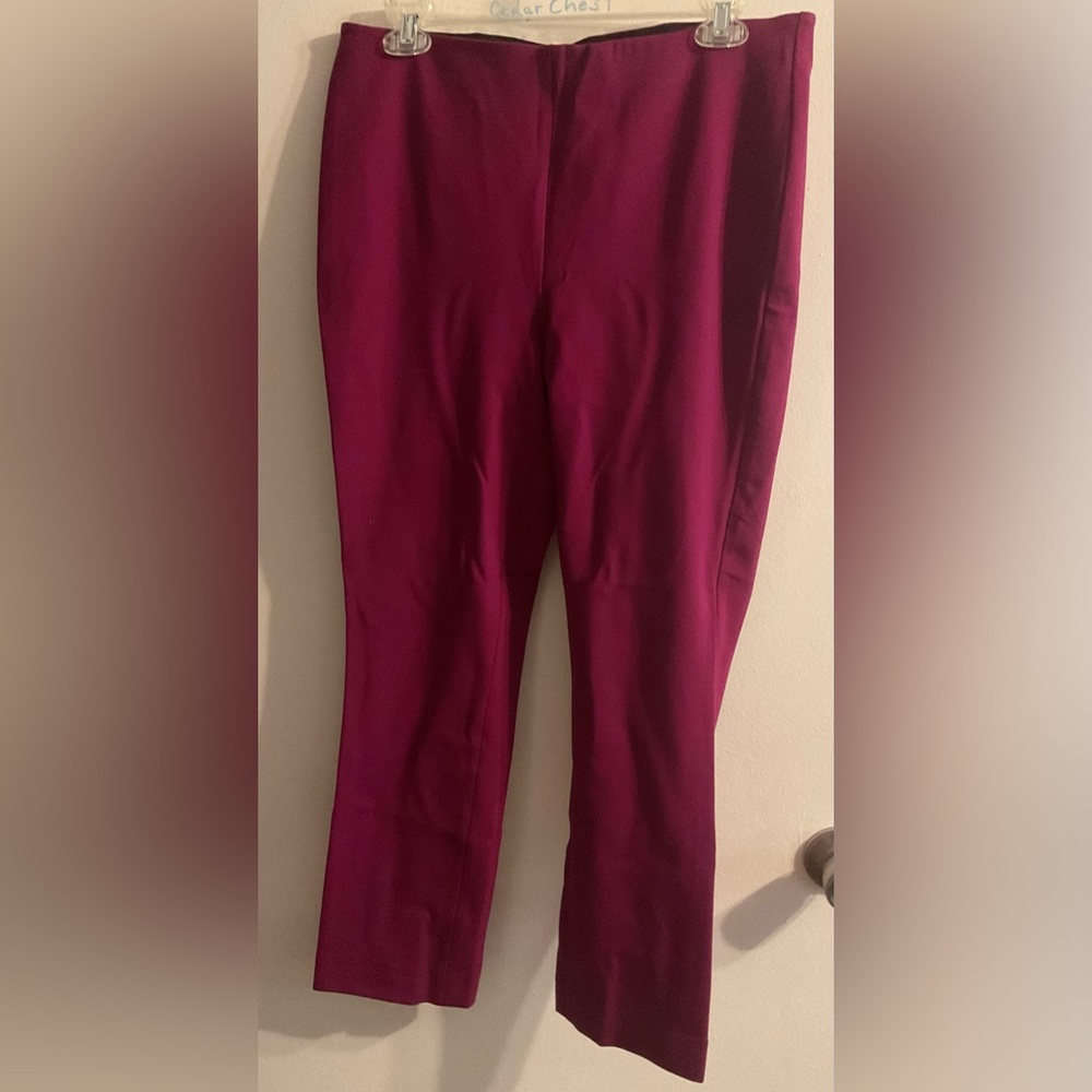 Women’s Express size Medium Pants! Very Cute